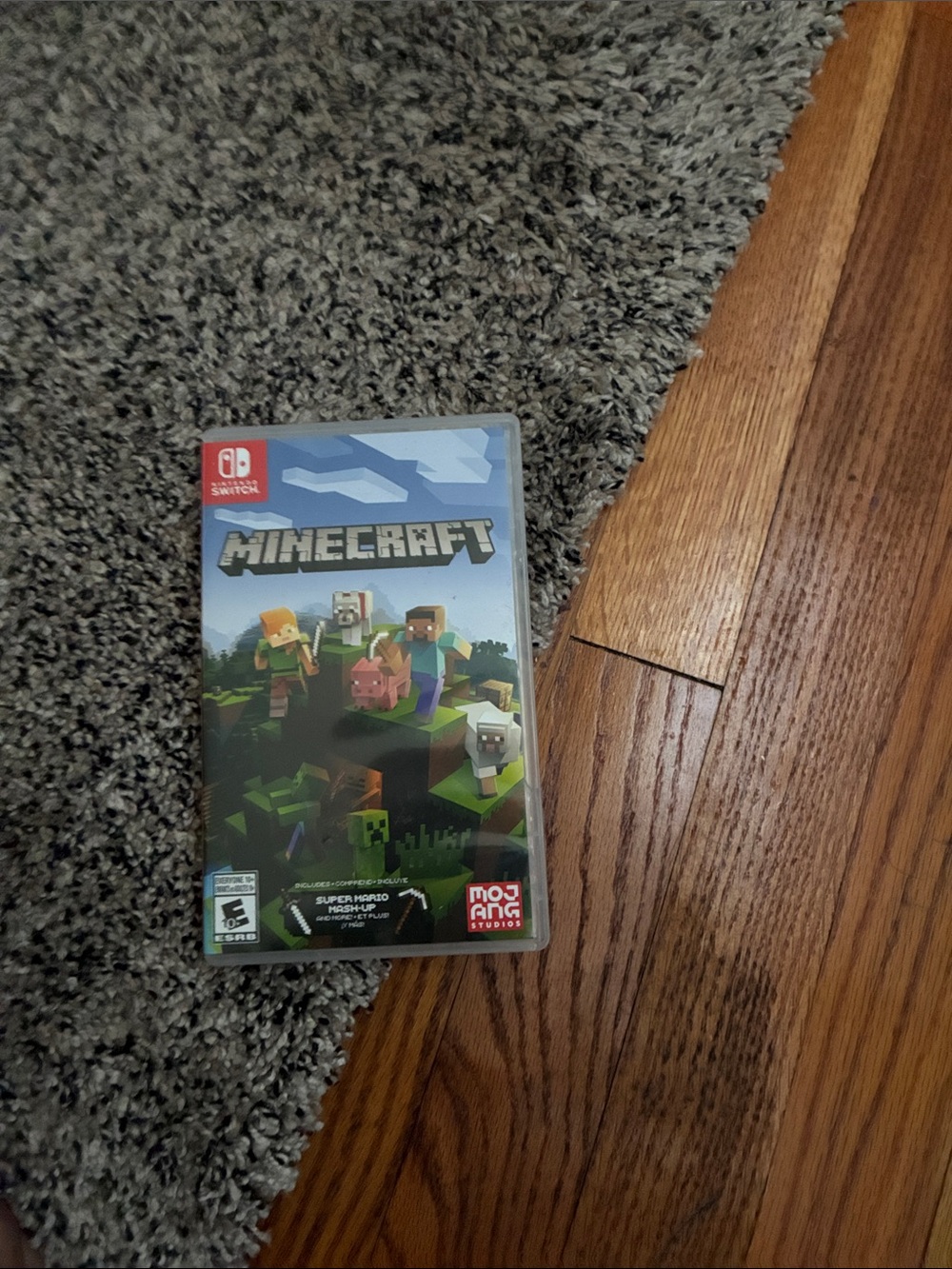 Nintendo Minecraft Switch Game - Green and Blue Cover